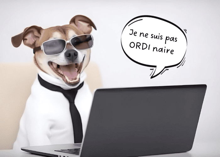 ordinateur portable