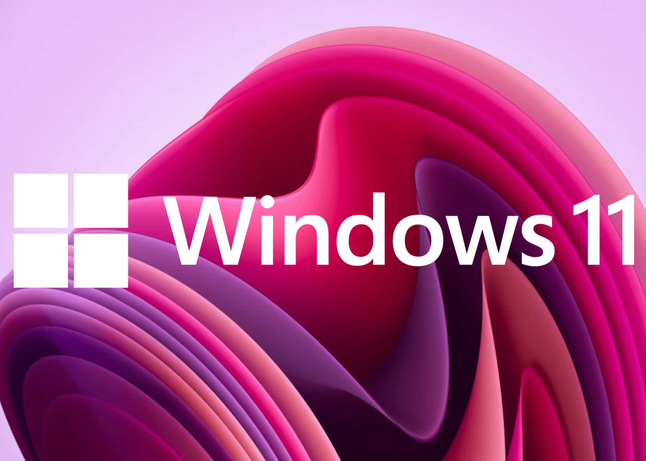 Windows 11